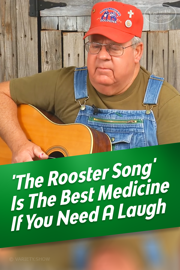 \'The Rooster Song\' Is The Best Medicine If You Need A Laugh