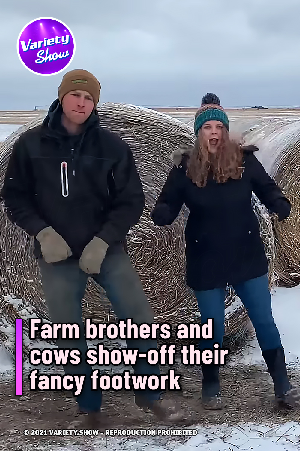 Farm brothers and cows show-off their fancy footwork