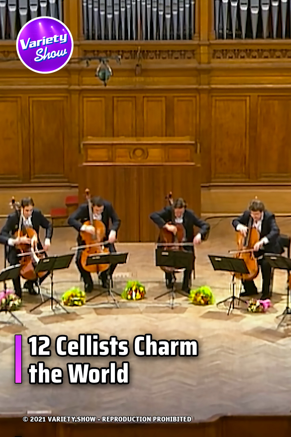 12 Cellists Charm the World
